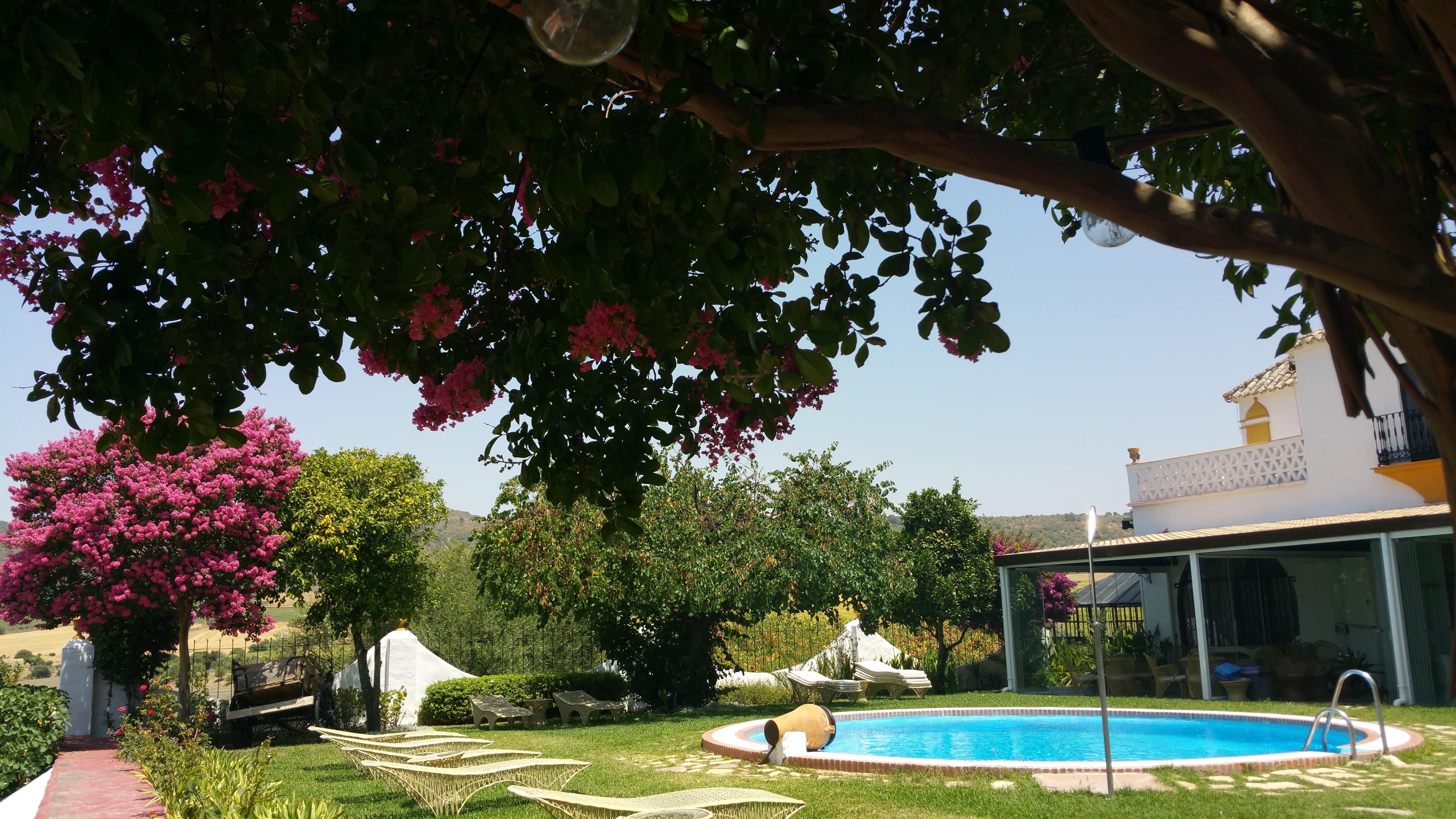 Hacienda El Santiscal Adults Only Hotel Arcos de la Frontera Ngoại thất bức ảnh