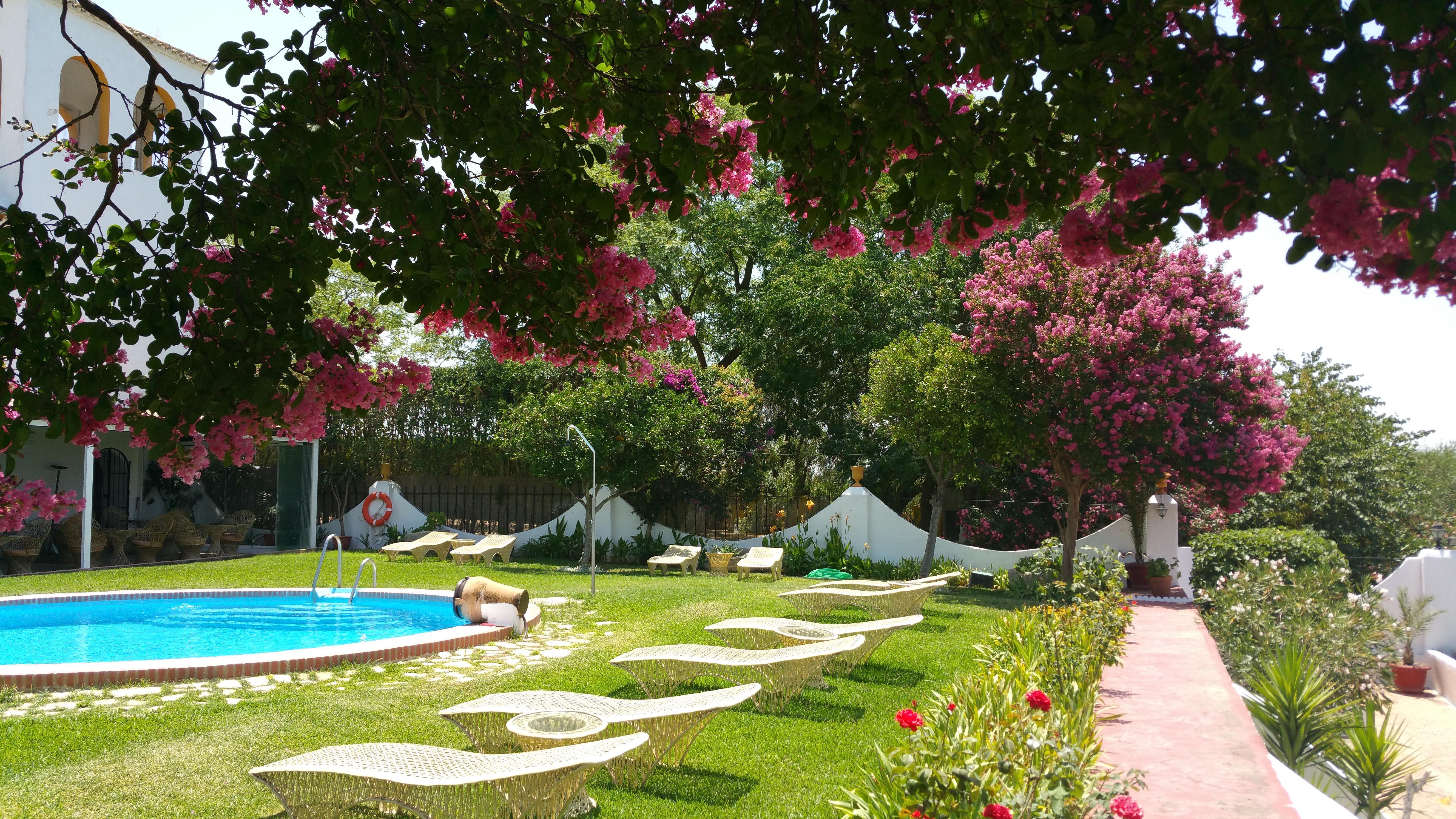 Hacienda El Santiscal Adults Only Hotel Arcos de la Frontera Ngoại thất bức ảnh