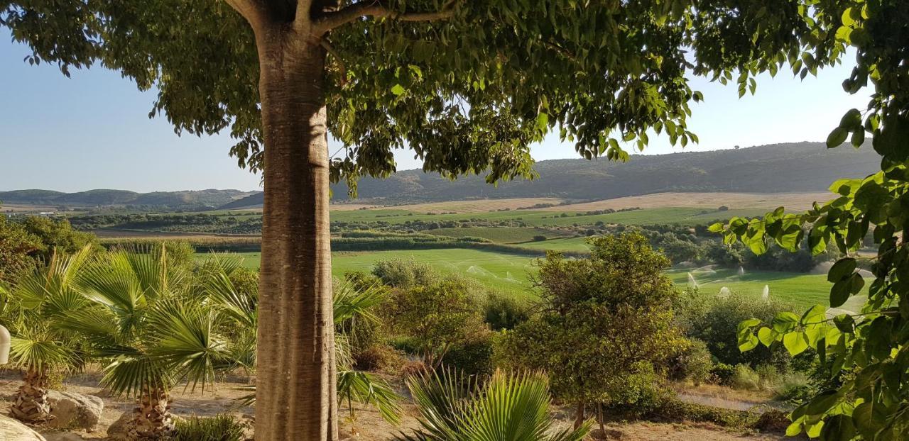 Hacienda El Santiscal Adults Only Hotel Arcos de la Frontera Ngoại thất bức ảnh
