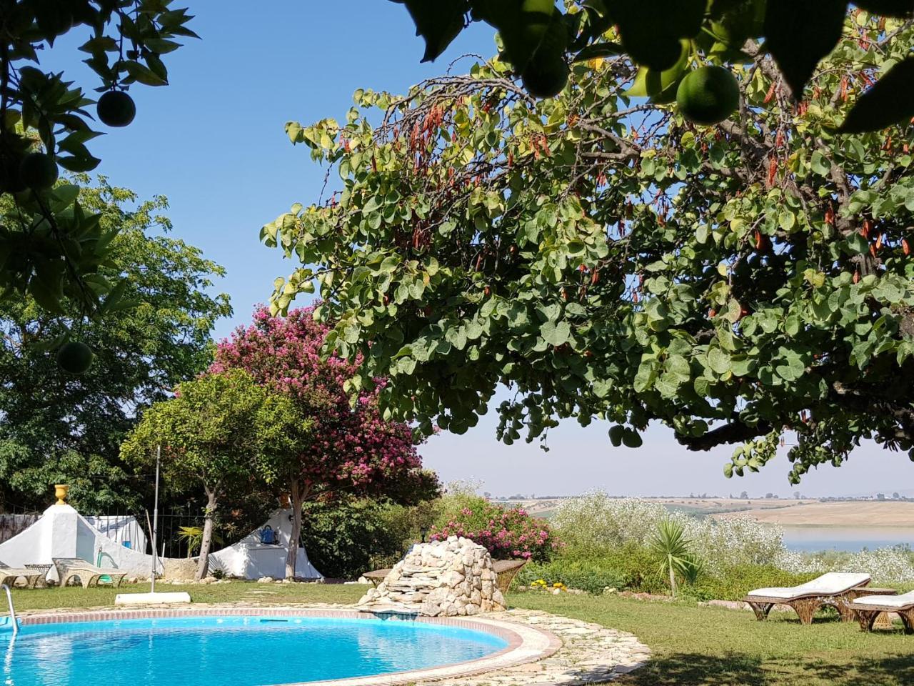 Hacienda El Santiscal Adults Only Hotel Arcos de la Frontera Ngoại thất bức ảnh